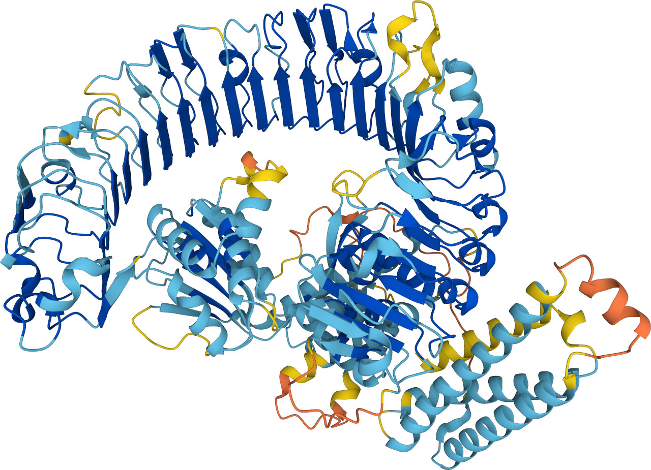 Protein in 3D as predicted by AlphaFold